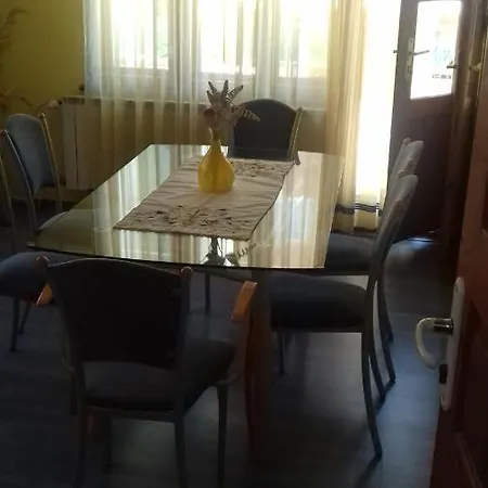Вила Русеви Pensiune *