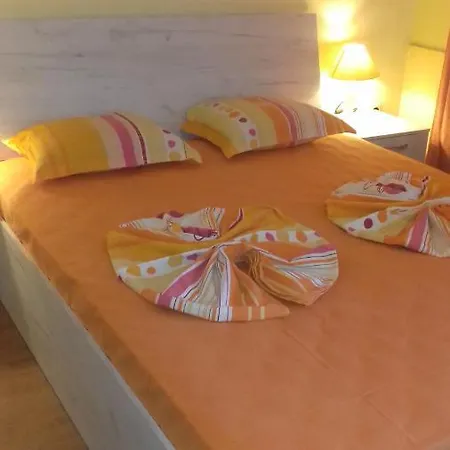 Guest house Вила Русеви *